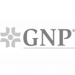 GNP